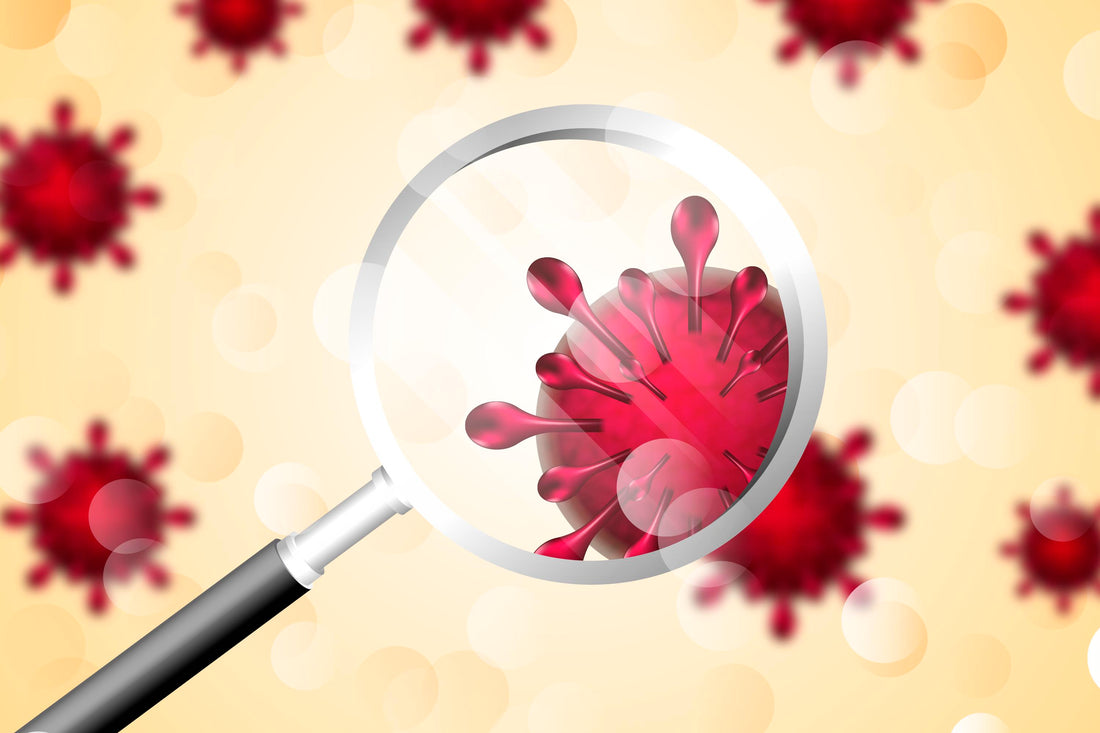 How Long Does Norovirus Last How to Stop Norovirus and Protect Yourself with LooREADY