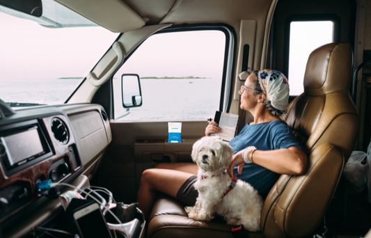 Road Trip Essentials Checklist
