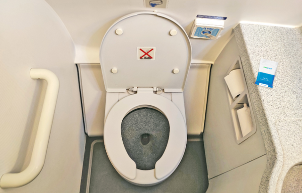 How to use Toilets on a Plane?