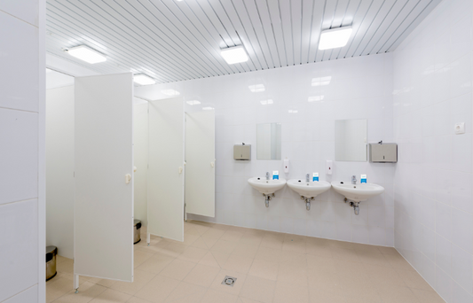 Public Restroom Hygiene | Biggest Mistake People Make While Flushing