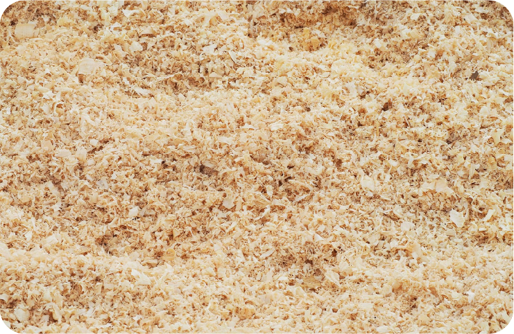 WOOD PULP